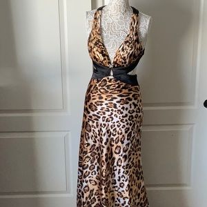 cache evening dresses